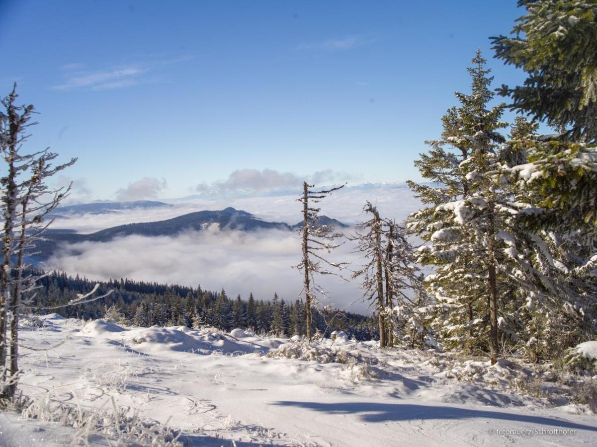Wiesenquartier I Chalet I Adults Only Langenwang Екстер'єр фото