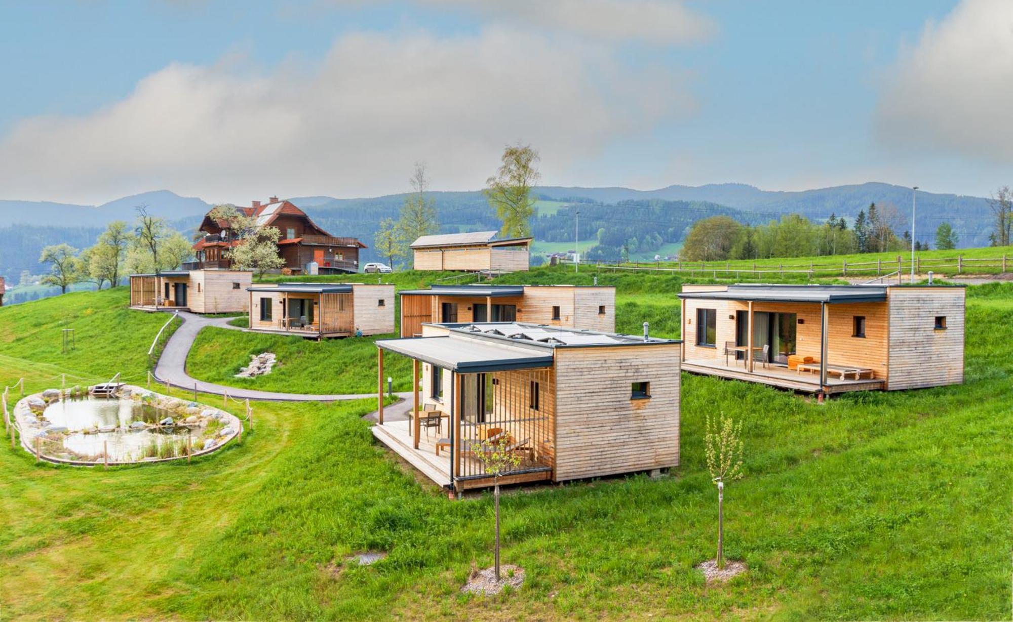 Wiesenquartier I Chalet I Adults Only Langenwang Екстер'єр фото